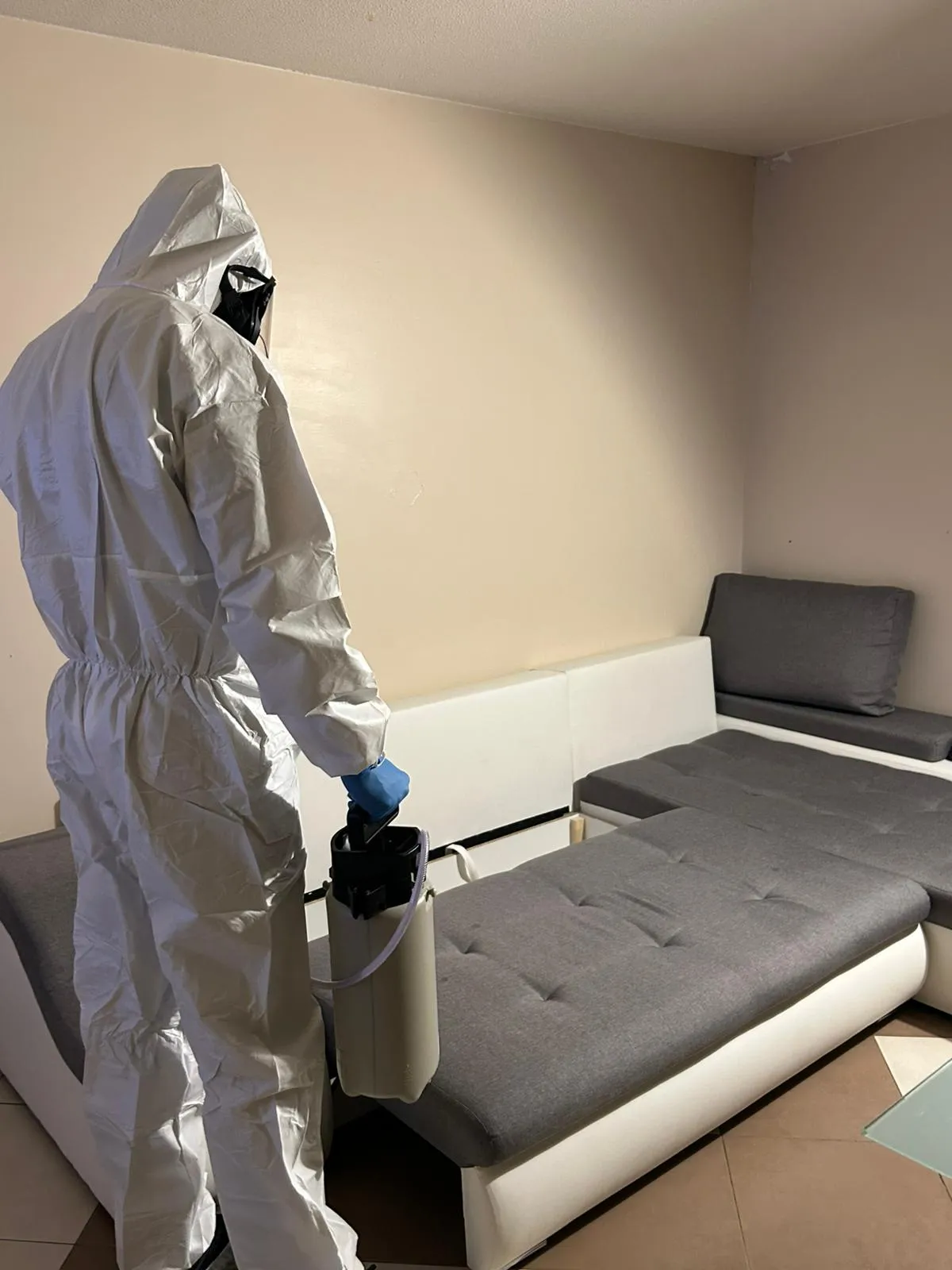 Désinsectisation punaise de lit